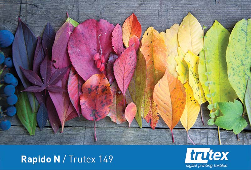 Rapido N Trutex 149